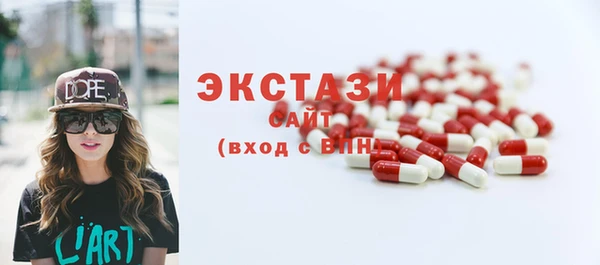 гидра Вязьма