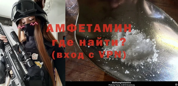 индика Дмитриев