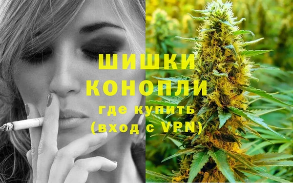 spice Горнозаводск
